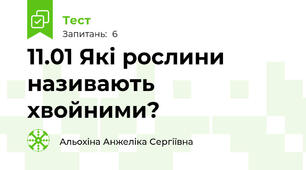 11.01 Які рослини називають хвойними?  