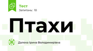 Птахи