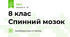 8 клас Спинний мозок