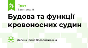 Будова та функції кровоносних судин