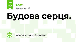 Будова серця.