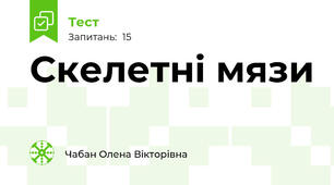 Скелетні мязи