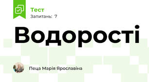 Водорості