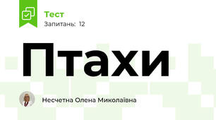 Птахи