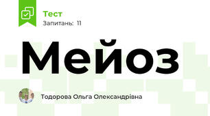  Мейоз