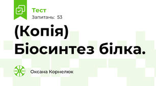 (Копія) Біосинтез білка. 