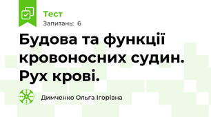 Будова та функції кровоносних судин. Рух крові.