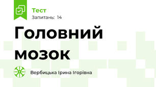Головний мозок