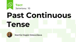 Past Continuous Tense