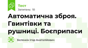 Автоматична зброя. Гвинтівки та рушниці. Боєприпаси