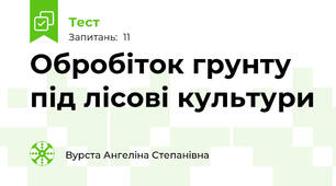 Обробіток грунту під лісові культури