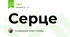 Серце