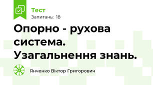 Опорно - рухова система.  Узагальнення знань.