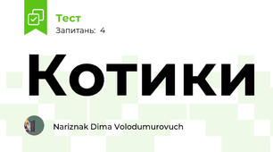 Котики
