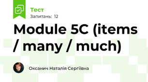 Module 5C (items / many / much)