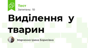    Виділення  у  тварин   