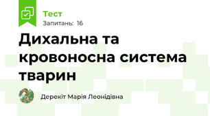 Дихальна та кровоносна система тварин