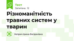 Різноманітність травних систем у тварин