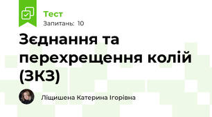 Зєднання та перехрещення колій (ЗКЗ)