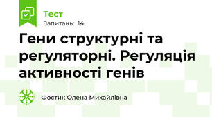 Гени структурні та регуляторні. Регуляція активності генів