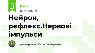 Нейрон, рефлекс.Нервові імпульси.