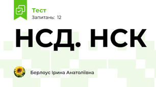 НСД. НСК