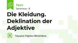 Die Kleidung. Deklination der Adjektive 