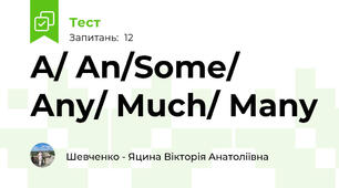 A/ An/Some/ Any/ Much/ Many