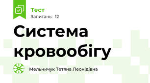 Система кровообігу
