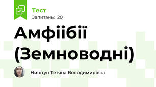 Амфіібії (Земноводні)