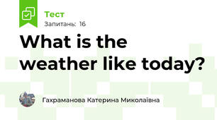 What is the weather like today?