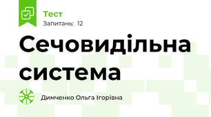Сечовидільна система 