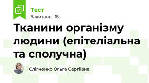 Тканини організму людини (епітеліальна та сполучна)