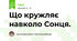 Що кружляє навколо Сонця.