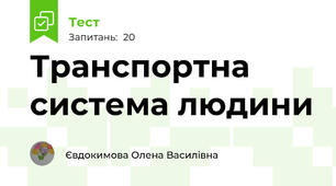Транспортна система людини