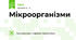 Мікроорганізми