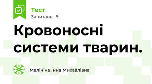 Кровоносні системи тварин.