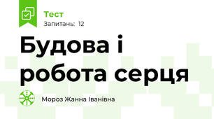 Будова і робота серця