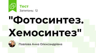 "Фотосинтез. Хемосинтез"