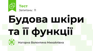  Будова шкіри та її функції