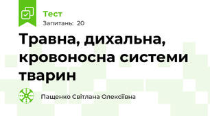 Травна, дихальна, кровоносна системи тварин