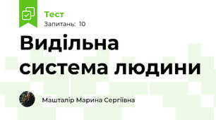 Видільна система людини