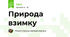 Природа взимку