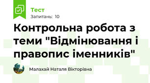 Контрольна робота з теми "Відмінювання і правопис іменників"