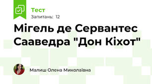 Мігель де Сервантес Сааведра "Дон Кіхот" 