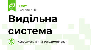 Видільна система