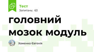 головний мозок модуль