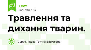 Травлення та дихання тварин.