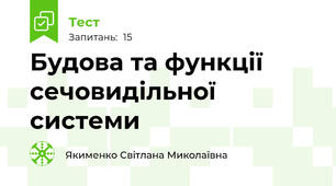 Будова та функції сечовидільної системи