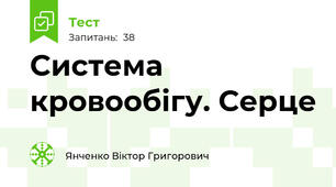 Система кровообігу. Серце